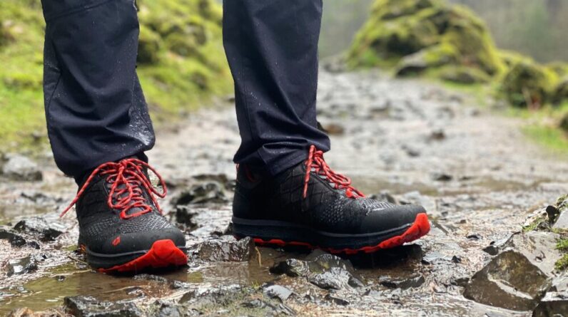columbia mens newton ridge plus ii waterproof hiking shoe review